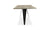 Bird Dining Table