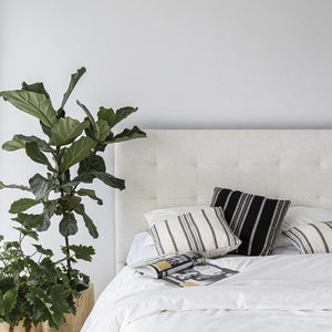 June Bed
