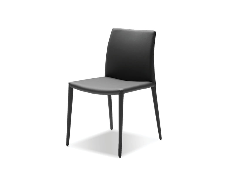 Zeno Dining Chair